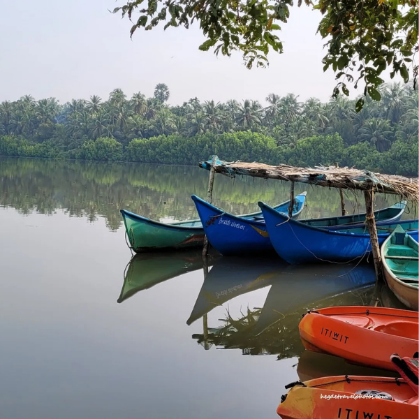 Best Mangrove Kayaking in Saligrama Udupi