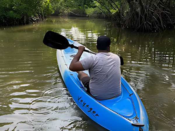 Top Mangrove Boating in Udupi