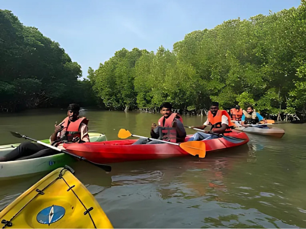 Best Mangrove Kayaking in Saligrama