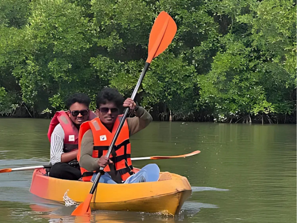 Top Mangrove Boating in Saligrama